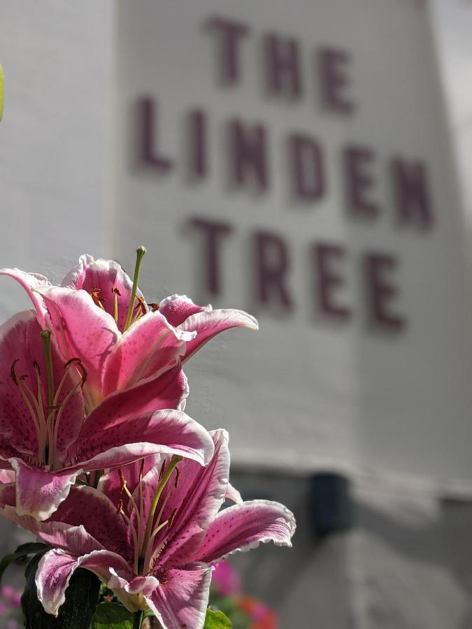 Linden Tree Bed and Breakfast Gloucester Exterior foto